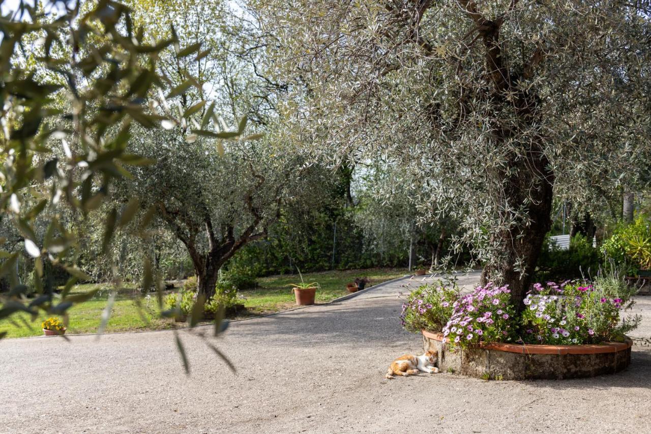 Fara in Sabina La Tana Delle Stelle B&B Di Charme E Relax מראה חיצוני תמונה
