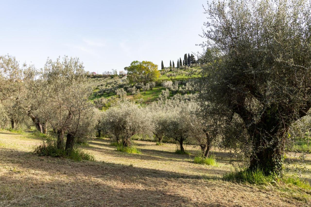 Fara in Sabina La Tana Delle Stelle B&B Di Charme E Relax מראה חיצוני תמונה